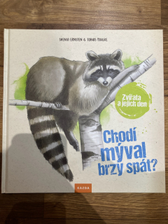 Chodí mýval brzy spát ? 