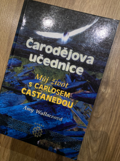 Čarodějova učednice