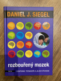 Rozbouřený mozek