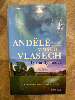 Andělé v mých vlasech