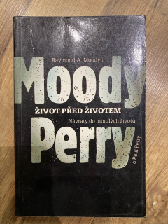 Život před životem