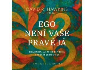EGO NENÍ VAŠE PRAVÉ JÁ