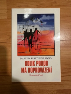 Kolik podob má doprovázení