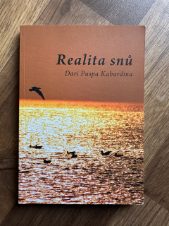 Realita snů