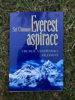 Everest aspirace