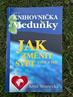 Jak změnit svět tady a teď / Knihovnička Meduňky sv. 13